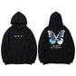 Pull Papillon Dans Le Dos